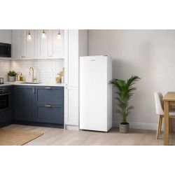Congélateur Armoire - 177L