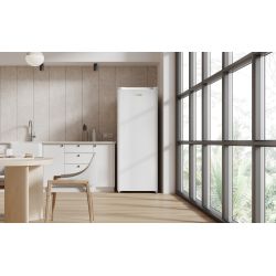 Congélateur Armoire - 177L
