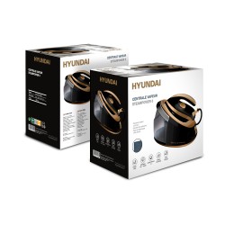 Centrale vapeur 3000W 6 Bars  1700ml  tapis de repassage inclus