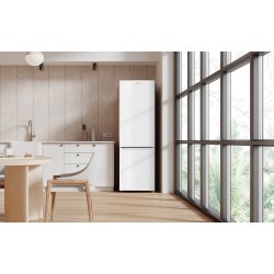 Réfrigérateur combiné 251L  Congélateur 64L Froid statique